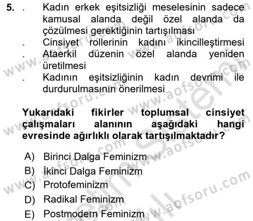 Toplumsal Cinsiyet Çalışmaları Dersi 2025 - 2026 Yılı (Vize) Ara Sınav Soruları 5. Soru