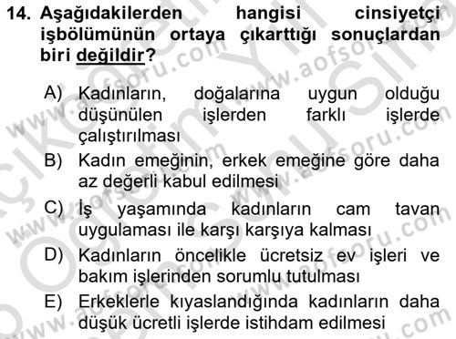 Toplumsal Cinsiyet Çalışmaları Dersi 2025 - 2026 Yılı (Final) Dönem Sonu Sınav Soruları 14. Soru