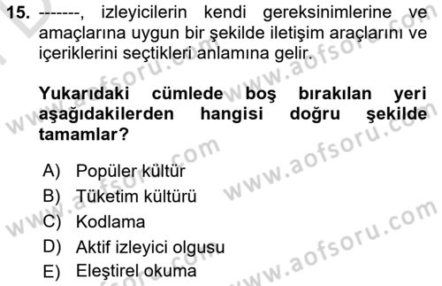 Toplumsal Cinsiyet Çalışmaları Dersi 2025 - 2026 Yılı (Final) Dönem Sonu Sınav Soruları 15. Soru