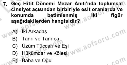 Toplumsal Cinsiyet Çalışmaları Dersi 2025 - 2026 Yılı (Final) Dönem Sonu Sınav Soruları 7. Soru