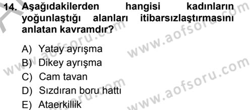 Toplumsal Cinsiyet Sosyolojisi Dersi Ara Sınavı Deneme Sınav Soruları 14. Soru