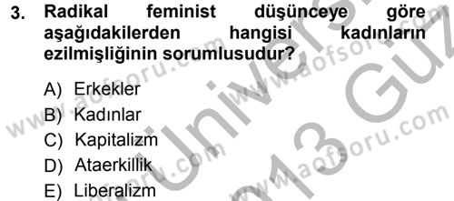 Toplumsal Cinsiyet Sosyolojisi Dersi 2012 - 2013 Yılı (Vize) Ara Sınav Soruları 3. Soru
