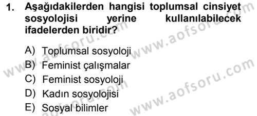 Toplumsal Cinsiyet Sosyolojisi Dersi 2012 - 2013 Yılı (Final) Dönem Sonu Sınav Soruları 1. Soru