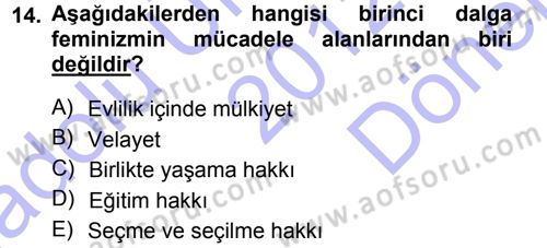 Toplumsal Cinsiyet Sosyolojisi Dersi 2012 - 2013 Yılı (Final) Dönem Sonu Sınav Soruları 14. Soru