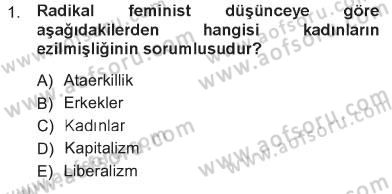 Toplumsal Cinsiyet Sosyolojisi Dersi 2012 - 2013 Yılı Tek Ders Sınav Soruları 1. Soru