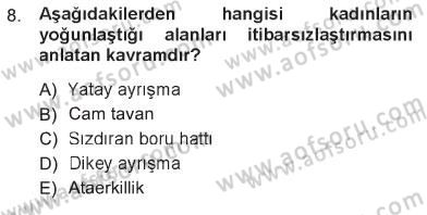 Toplumsal Cinsiyet Sosyolojisi Dersi 2012 - 2013 Yılı Tek Ders Sınav Soruları 8. Soru