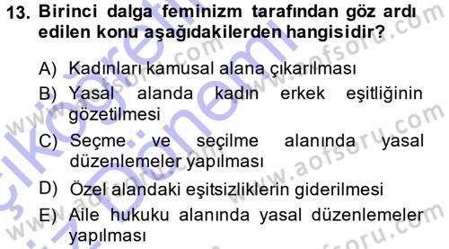 Toplumsal Cinsiyet Sosyolojisi Dersi Ara Sınavı Deneme Sınav Soruları 13. Soru