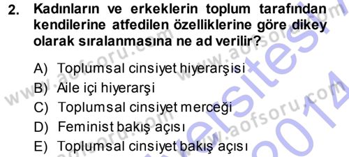 Toplumsal Cinsiyet Sosyolojisi Dersi Ara Sınavı Deneme Sınav Soruları 2. Soru
