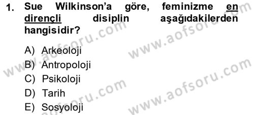 Toplumsal Cinsiyet Sosyolojisi Dersi 2013 - 2014 Yılı (Final) Dönem Sonu Sınav Soruları 1. Soru