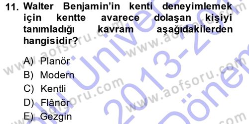 Toplumsal Cinsiyet Sosyolojisi Dersi 2013 - 2014 Yılı (Final) Dönem Sonu Sınav Soruları 11. Soru