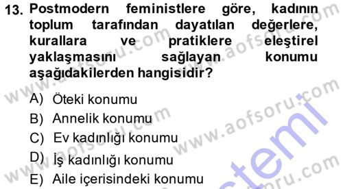 Toplumsal Cinsiyet Sosyolojisi Dersi 2013 - 2014 Yılı (Final) Dönem Sonu Sınav Soruları 13. Soru