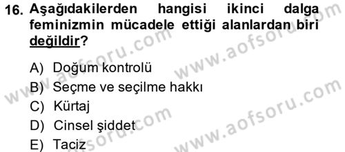 Toplumsal Cinsiyet Sosyolojisi Dersi 2013 - 2014 Yılı (Final) Dönem Sonu Sınav Soruları 16. Soru