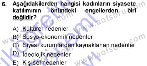 Toplumsal Cinsiyet Sosyolojisi Dersi 2013 - 2014 Yılı (Final) Dönem Sonu Sınav Soruları 6. Soru
