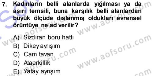 Toplumsal Cinsiyet Sosyolojisi Dersi 2013 - 2014 Yılı (Final) Dönem Sonu Sınav Soruları 7. Soru