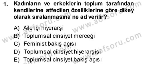 Toplumsal Cinsiyet Sosyolojisi Dersi 2013 - 2014 Yılı Tek Ders Sınav Soruları 1. Soru