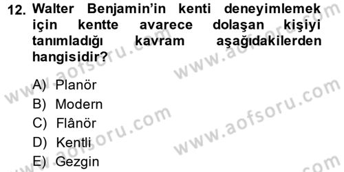 Toplumsal Cinsiyet Sosyolojisi Dersi 2013 - 2014 Yılı Tek Ders Sınavı 12. Soru