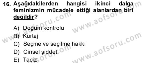 Toplumsal Cinsiyet Sosyolojisi Dersi 2013 - 2014 Yılı Tek Ders Sınav Soruları 16. Soru