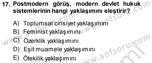 Toplumsal Cinsiyet Sosyolojisi Dersi 2013 - 2014 Yılı Tek Ders Sınav Soruları 17. Soru