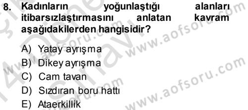 Toplumsal Cinsiyet Sosyolojisi Dersi 2013 - 2014 Yılı Tek Ders Sınav Soruları 8. Soru