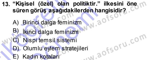 Toplumsal Cinsiyet Sosyolojisi Dersi Ara Sınavı Deneme Sınav Soruları 13. Soru