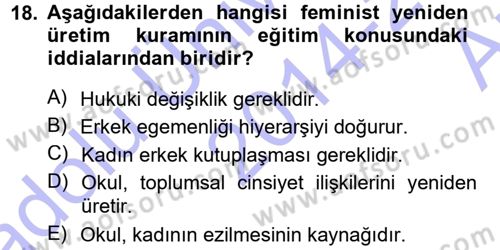 Toplumsal Cinsiyet Sosyolojisi Dersi Ara Sınavı Deneme Sınav Soruları 18. Soru