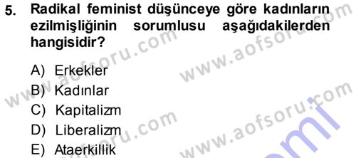 Toplumsal Cinsiyet Sosyolojisi Dersi 2014 - 2015 Yılı (Vize) Ara Sınav Soruları 5. Soru