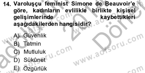 Toplumsal Cinsiyet Sosyolojisi Dersi 2014 - 2015 Yılı (Final) Dönem Sonu Sınav Soruları 14. Soru