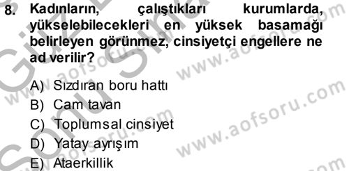 Toplumsal Cinsiyet Sosyolojisi Dersi 2014 - 2015 Yılı (Final) Dönem Sonu Sınav Soruları 8. Soru