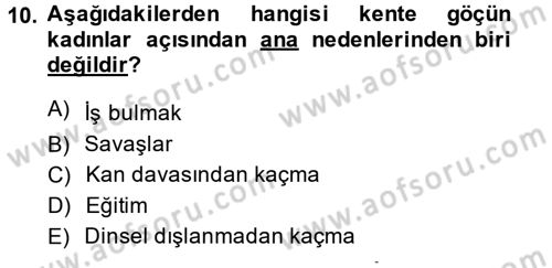 Toplumsal Cinsiyet Sosyolojisi Dersi 2014 - 2015 Yılı Tek Ders Sınav Soruları 10. Soru