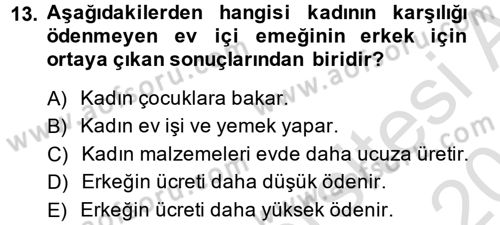 Toplumsal Cinsiyet Sosyolojisi Dersi 2014 - 2015 Yılı Tek Ders Sınav Soruları 13. Soru