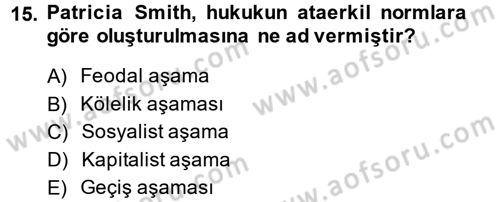 Toplumsal Cinsiyet Sosyolojisi Dersi 2014 - 2015 Yılı Tek Ders Sınav Soruları 15. Soru