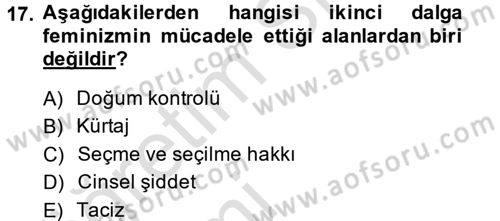 Toplumsal Cinsiyet Sosyolojisi Dersi 2014 - 2015 Yılı Tek Ders Sınav Soruları 17. Soru