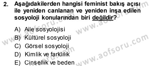 Toplumsal Cinsiyet Sosyolojisi Dersi 2014 - 2015 Yılı Tek Ders Sınav Soruları 2. Soru