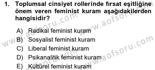 Toplumsal Cinsiyet Sosyolojisi Dersi Ara Sınavı Deneme Sınav Soruları 1. Soru