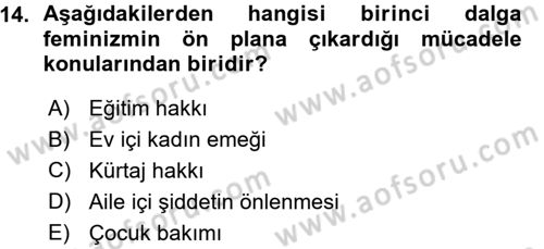 Toplumsal Cinsiyet Sosyolojisi Dersi Ara Sınavı Deneme Sınav Soruları 14. Soru