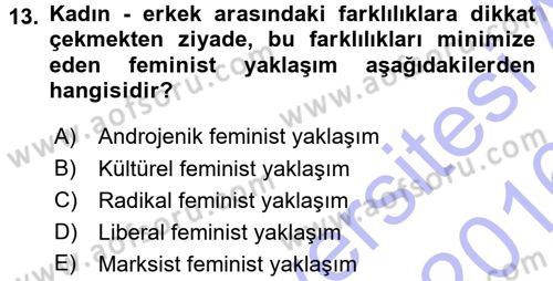 Toplumsal Cinsiyet Sosyolojisi Dersi 2015 - 2016 Yılı (Final) Dönem Sonu Sınav Soruları 13. Soru