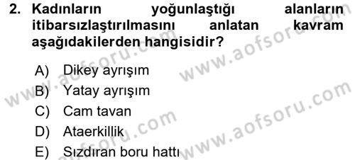 Toplumsal Cinsiyet Sosyolojisi Dersi 2015 - 2016 Yılı (Final) Dönem Sonu Sınav Soruları 2. Soru