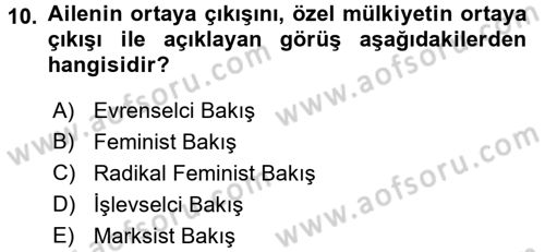 Toplumsal Cinsiyet Sosyolojisi Dersi 2016 - 2017 Yılı 3 Ders Sınav Soruları 10. Soru