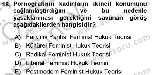 Toplumsal Cinsiyet Sosyolojisi Dersi 2016 - 2017 Yılı 3 Ders Sınav Soruları 18. Soru
