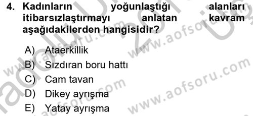 Toplumsal Cinsiyet Sosyolojisi Dersi 2016 - 2017 Yılı 3 Ders Sınav Soruları 4. Soru