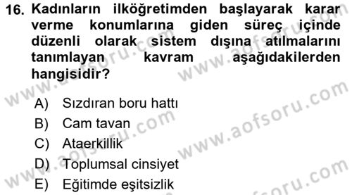 Toplumsal Cinsiyet Sosyolojisi Dersi Ara Sınavı Deneme Sınav Soruları 16. Soru