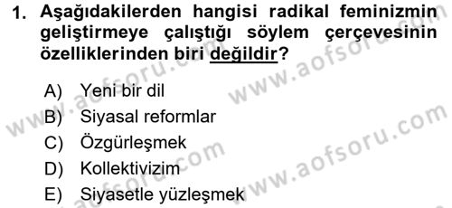 Toplumsal Cinsiyet Sosyolojisi Dersi 2016 - 2017 Yılı (Final) Dönem Sonu Sınav Soruları 1. Soru