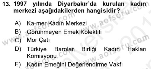 Toplumsal Cinsiyet Sosyolojisi Dersi 2016 - 2017 Yılı (Final) Dönem Sonu Sınav Soruları 13. Soru