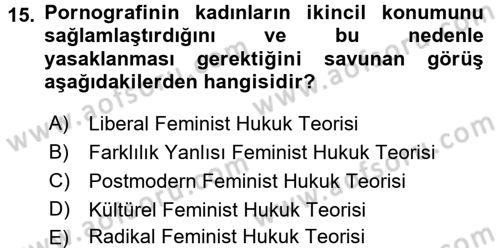 Toplumsal Cinsiyet Sosyolojisi Dersi 2016 - 2017 Yılı (Final) Dönem Sonu Sınav Soruları 15. Soru