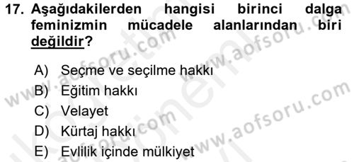 Toplumsal Cinsiyet Sosyolojisi Dersi 2016 - 2017 Yılı (Final) Dönem Sonu Sınav Soruları 17. Soru