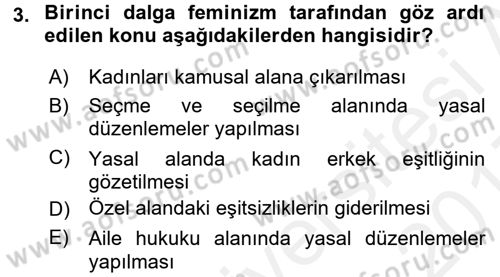Toplumsal Cinsiyet Sosyolojisi Dersi 2016 - 2017 Yılı (Final) Dönem Sonu Sınav Soruları 3. Soru