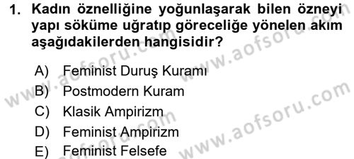 Toplumsal Cinsiyet Sosyolojisi Dersi 2017 - 2018 Yılı 3 Ders Sınav Soruları 1. Soru