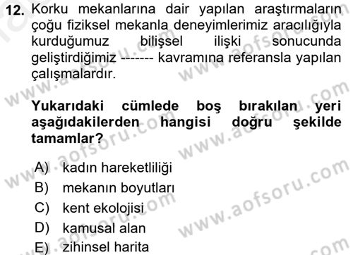 Toplumsal Cinsiyet Sosyolojisi Dersi 2017 - 2018 Yılı 3 Ders Sınav Soruları 12. Soru
