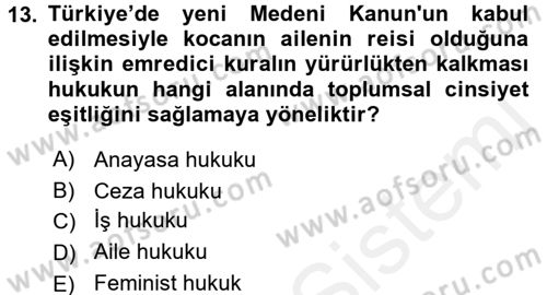 Toplumsal Cinsiyet Sosyolojisi Dersi 2017 - 2018 Yılı 3 Ders Sınav Soruları 13. Soru