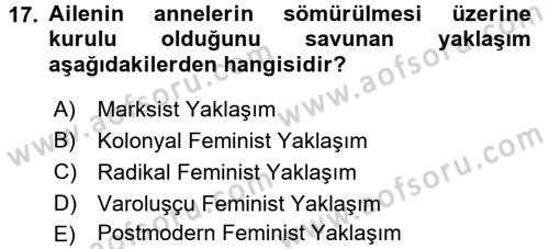 Toplumsal Cinsiyet Sosyolojisi Dersi 2017 - 2018 Yılı 3 Ders Sınav Soruları 17. Soru